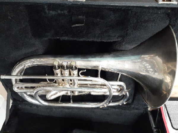 Dynasty vraiment Bb Mellophone H002121