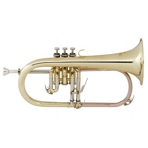 Used Instruments: Flugel Horn