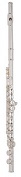 Musical Instrument Rentals: Flute, Harrisburg  Mechanicsburg Carlisle PA