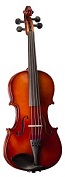 Musical Instrument Rentals: Viola, Harrisburg Mechanicsburg Carlisle  PA