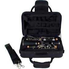 Horn Hospital carries the Pro-Tec Clarinet MAX Case in Black