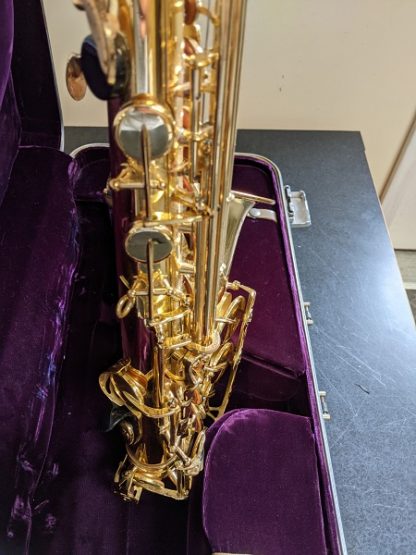 Professional Alto Saxophone